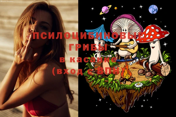 бошки Пересвет