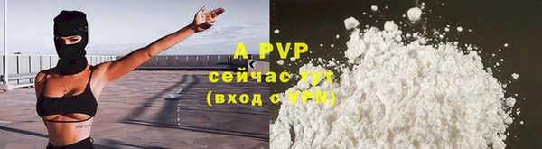 бошки Пересвет