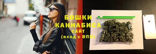 бошки Пересвет