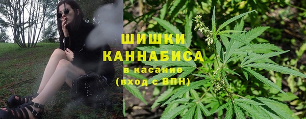 бошки Пересвет