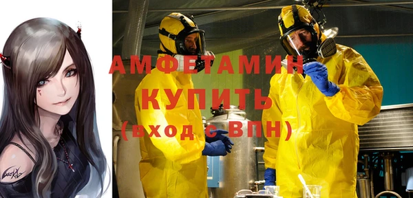 бошки Пересвет