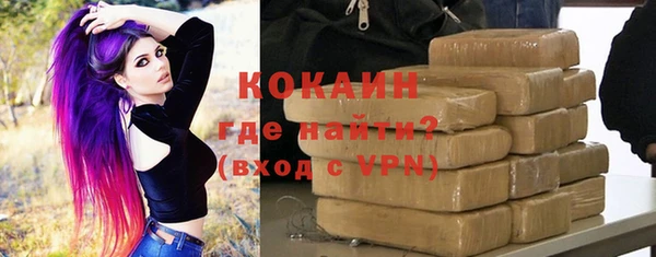 бошки Пересвет