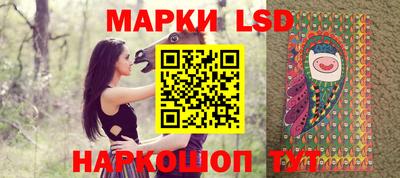 прущие грибы Гатчина
