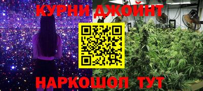 прущие грибы Гатчина