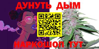 прущие грибы Гатчина