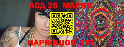 прущие грибы Гатчина