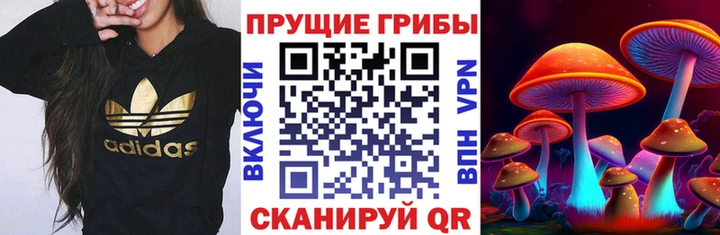 Галлюциногенные грибы Magic Shrooms Семилуки