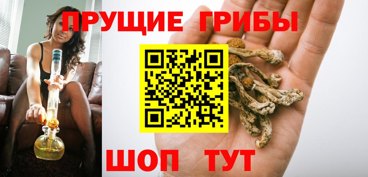 Семилуки  Галлюциногенные грибы Cubensis  Галлюциногенные грибы GOLDEN TEACHER  Вход с VPN 